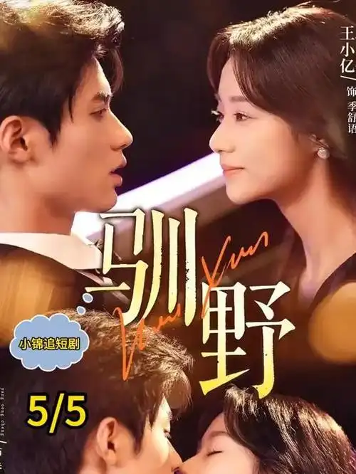 万家灯火录